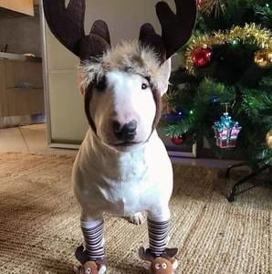 Meet your Posher, Renee